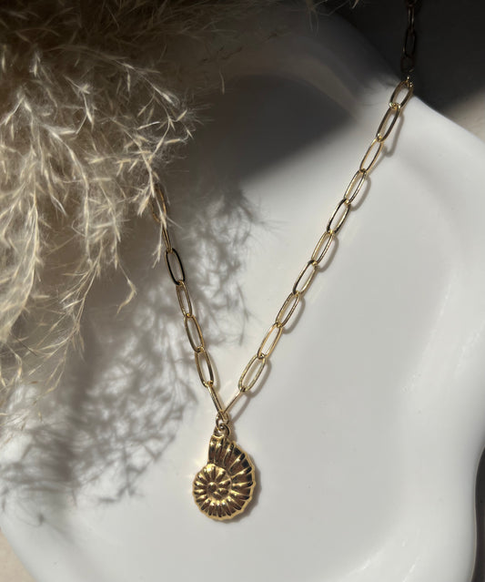 שרשרת אמוניט